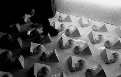 NATHALIE BLES